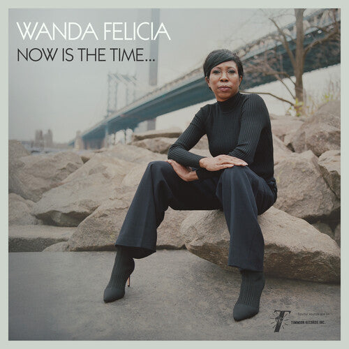 Wanda Felicia Now Is the Time - Record Album - Vinyl LP