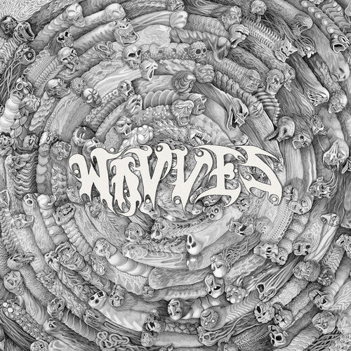 Wavves Spun - Record Album - Vinyl LP