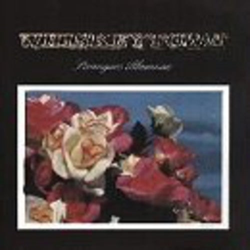 Whiskeytown Strangers Almanac - Double Record Album - Vinyl LP