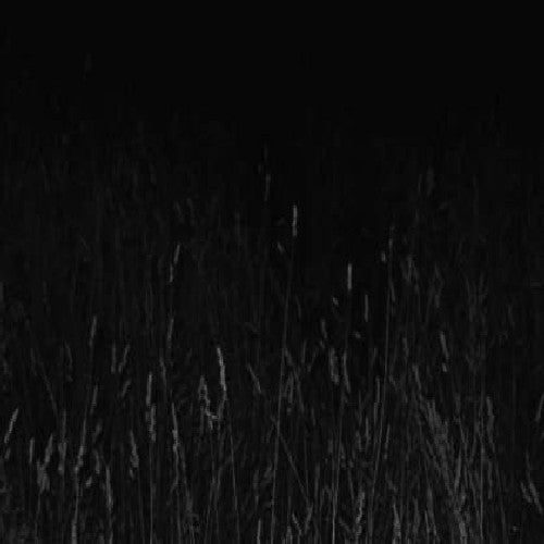 White Nights / Drone Fields - 2-Disc DVD Set