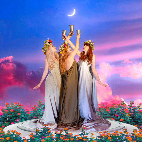 Who Is She? Goddess Energy - Record Album - Vinyl LP