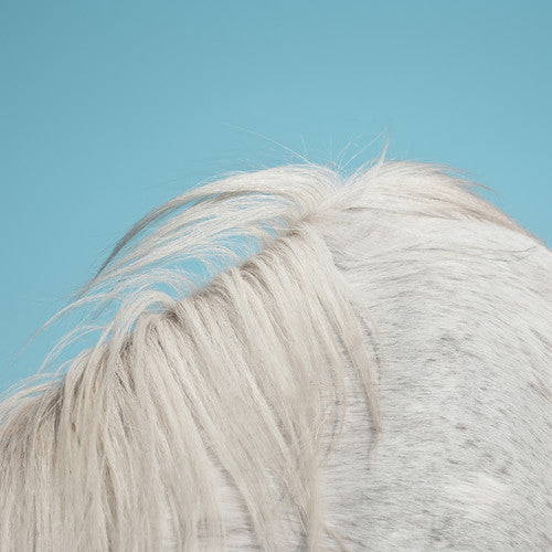 Widowspeak All Yours - Record Album - Vinyl LP
