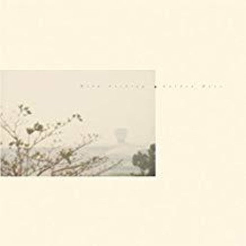 Wild Nothing Golden Haze (CT10 Edition) - Record Album - Vinyl LP
