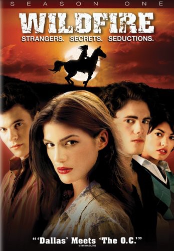 Wildfire: Season 1 - 4-Disc DVD Set