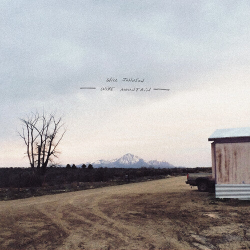 Will Johnson Wire Mountain - Record Album - Vinyl LP