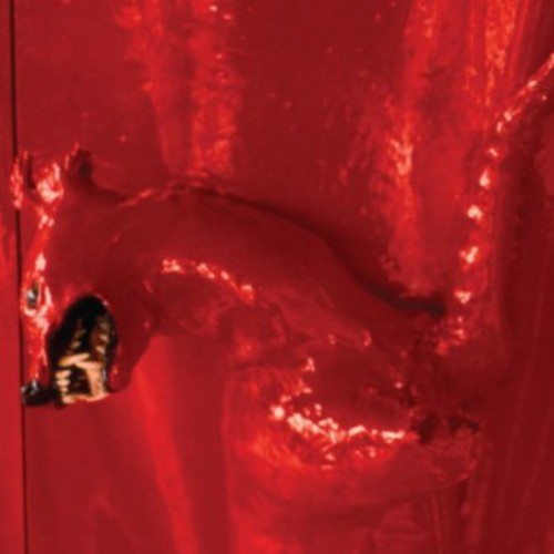WILLIAM BASINSKI A Red Score in Tile - CD Album