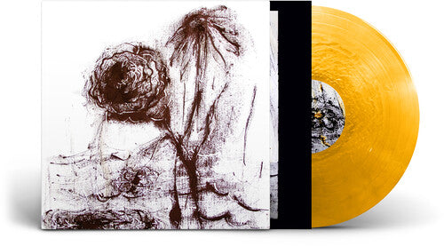 WILLIAM BASINSKI Passing the Cup of Sorrows - Record Album - Vinyl LP
