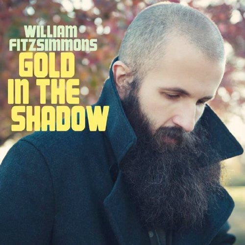 William Fitzsimmons Gold in the Shadow - Record Album - Vinyl LP