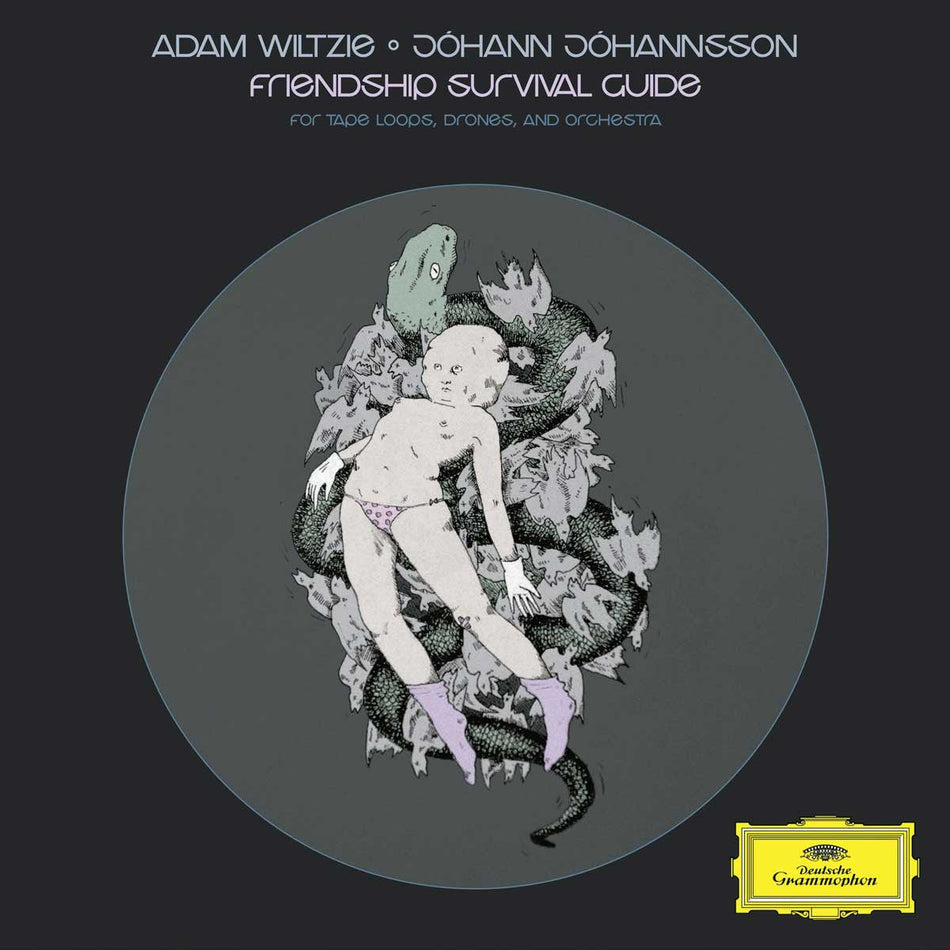 Wiltzie, Adam / Johannsson, Johann Friendship Survival Guide - Record Album - Vinyl LP