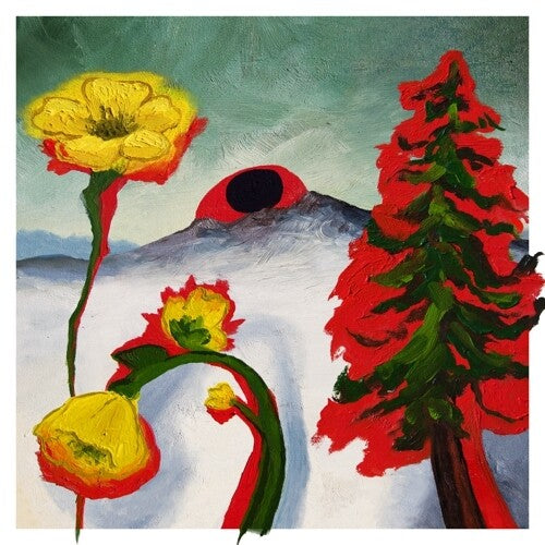 WOODS Strange To Explain - Record Album - Vinyl LP