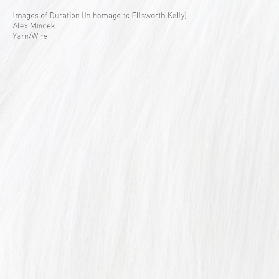 Yarn/Wire Images of Duration (In homage to Ellsworth Kelly)
