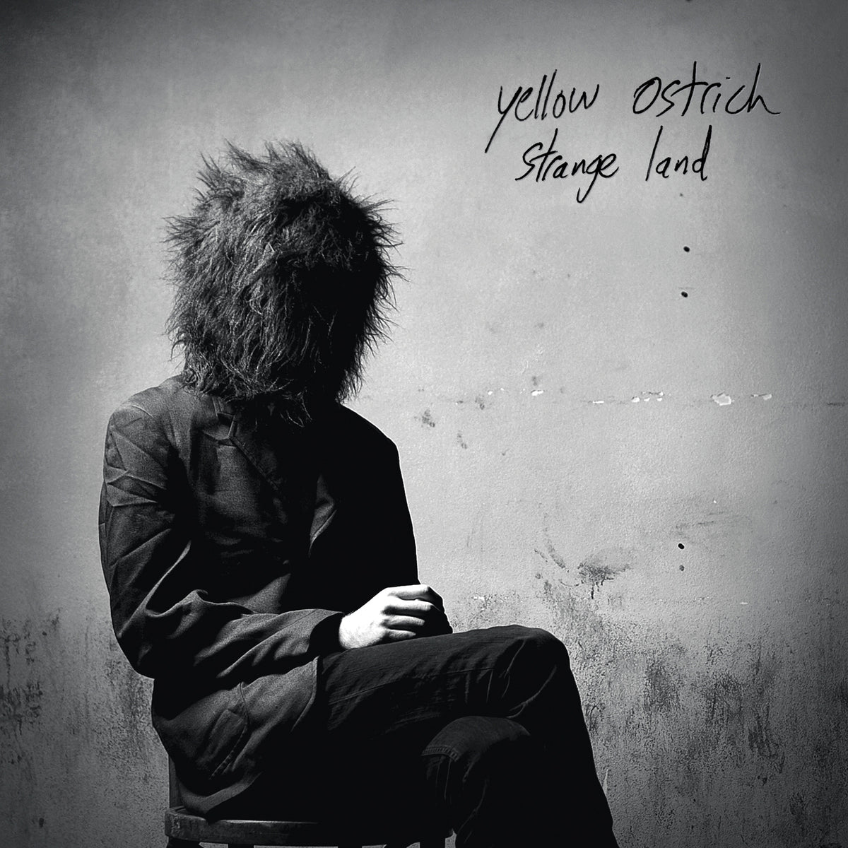 Yellow Ostrich Strange Land