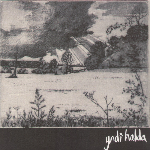 Yndi Halda Enjoy Eternal Bliss - Record Album - Vinyl LP