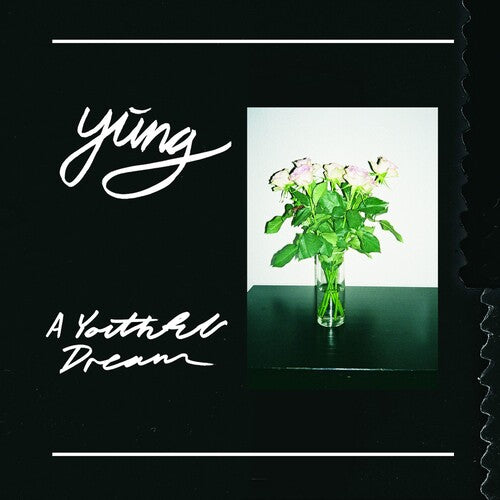 Yung A Youthful Dream - Record Album - Vinyl LP