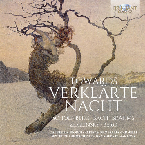 Zemlinsky / Sborgi Towards Verklarte Nacht - CD Album